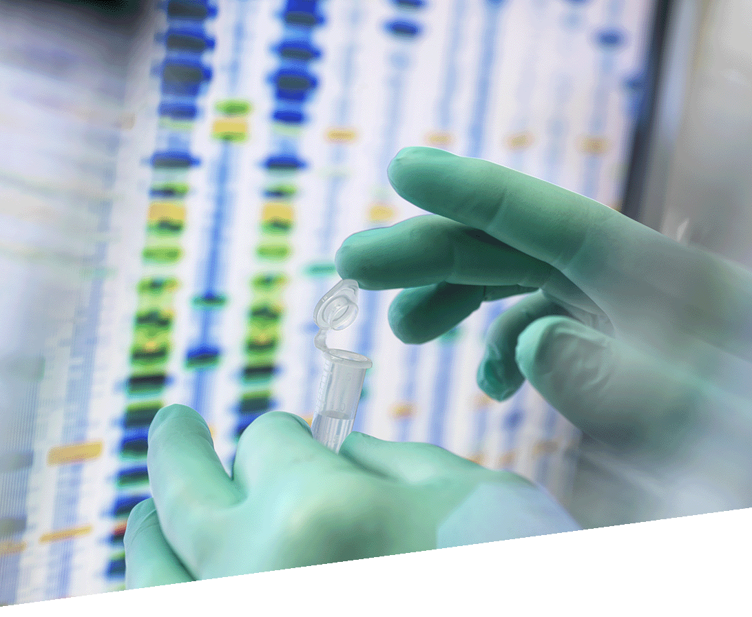 ustalenie lub zaprzeczenie ojcostwa